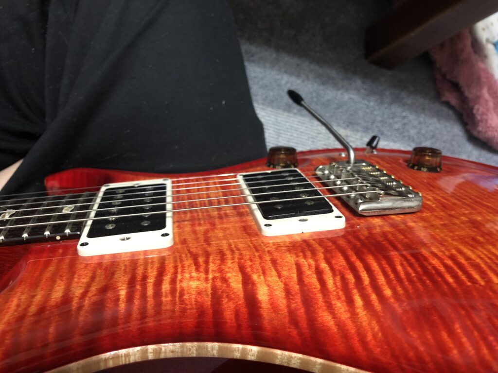 PRS Custom 24に搭載された2基のハムバッカーピックアップを接写した写真
